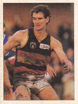 1992 Select AFL Stickers #17 Mark Mickan Front